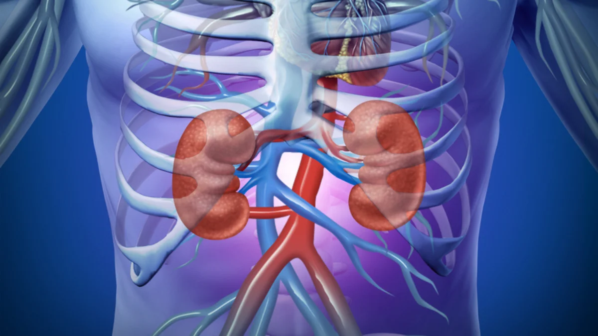 Kidney Disease Treatment in Handewadi, Hadapsar