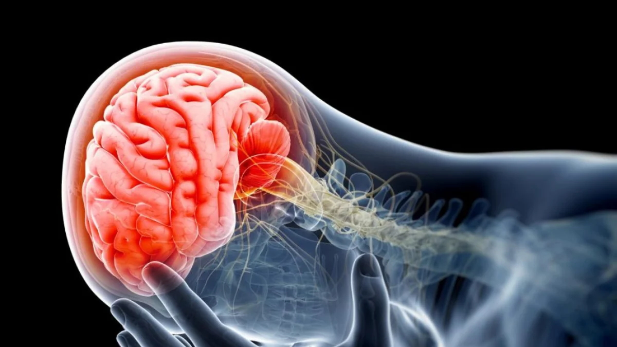 Neurology Treatment in Handewadi, Hadapsar