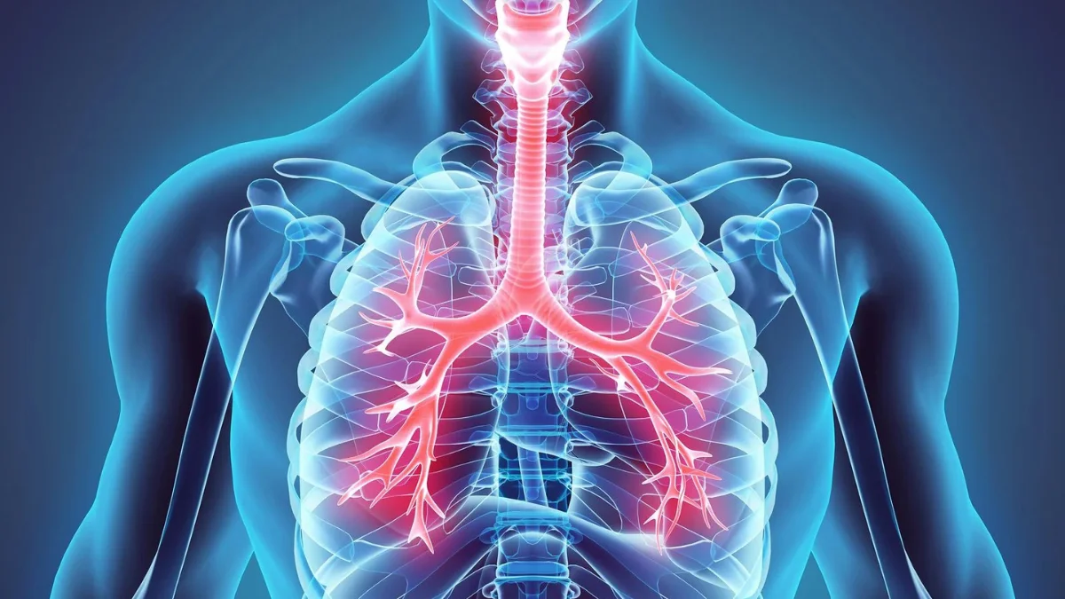 Respiratory System Treatment in Handewadi, Hadapsar